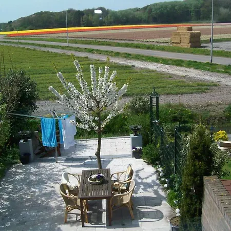 Maria's Bed & Breakfast Noordwijk