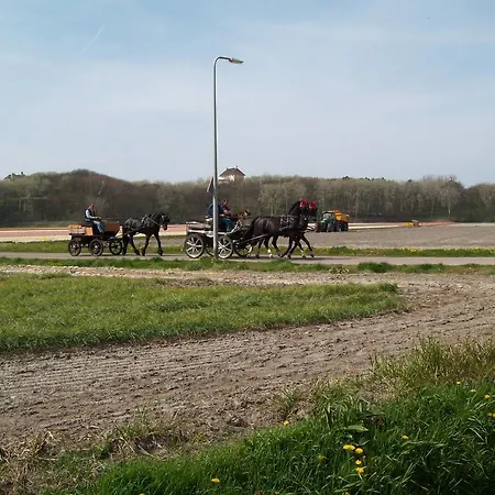 Panzió Maria's Noordwijk